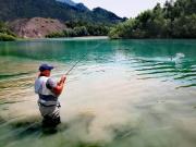 Sava river fly fishing